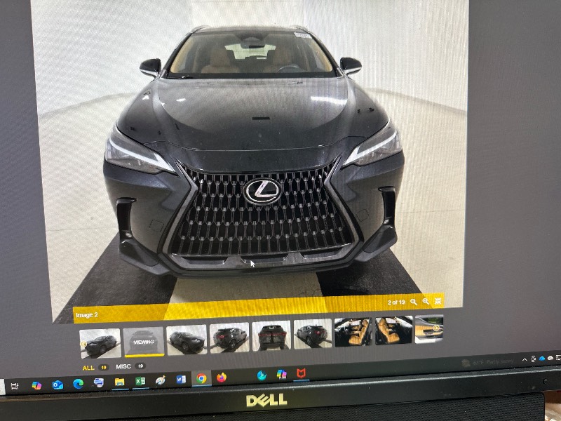 2022 Lexus NX 250's photo